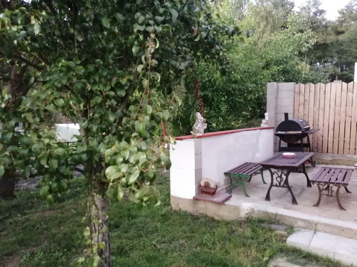 Вилла Na Cervene Louce Relax 1 Хеб Экстерьер фото